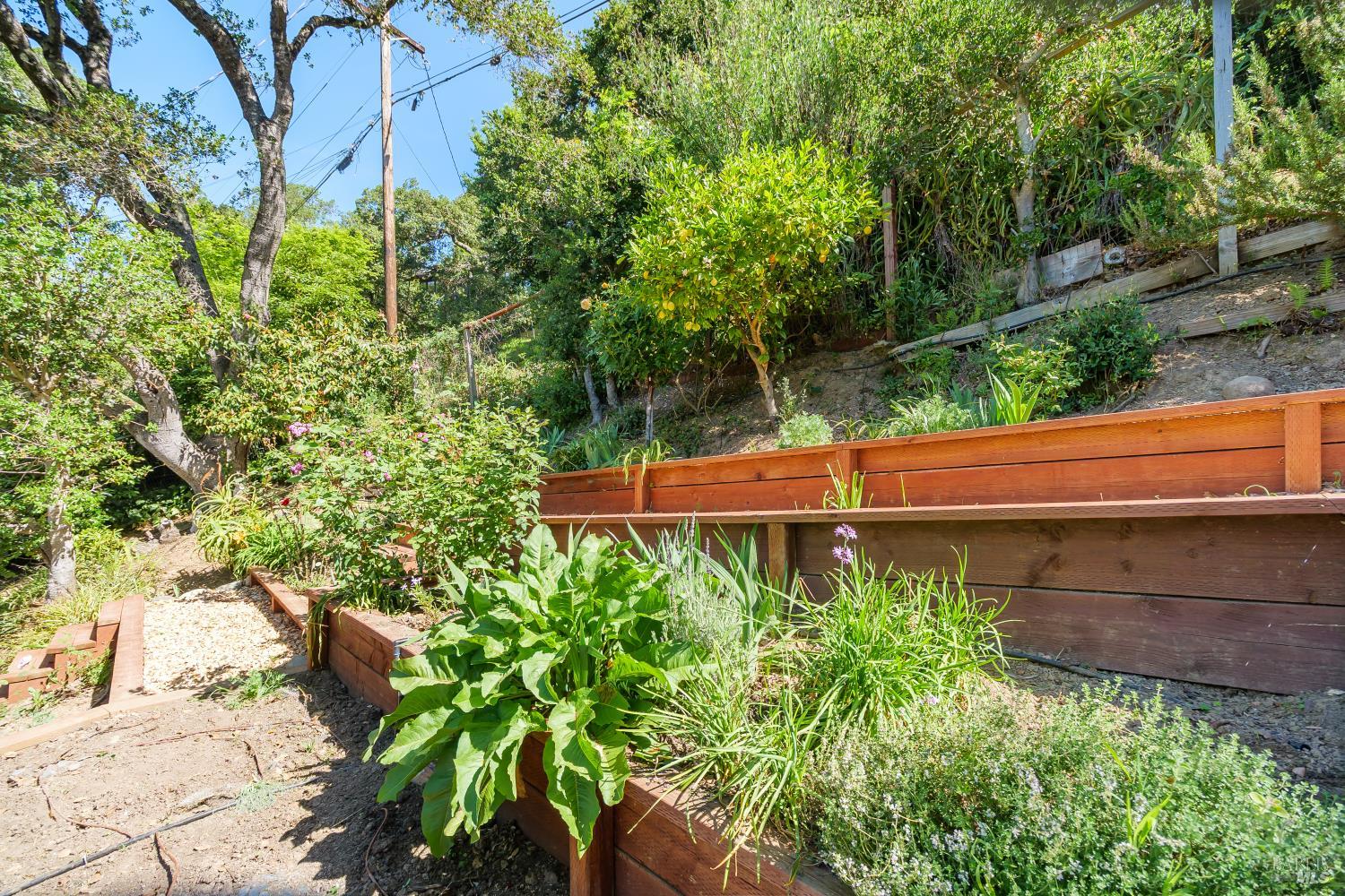 Detail Gallery Image 20 of 27 For 244 Manor Dr, Mill Valley,  CA 94941 - 3 Beds | 2 Baths