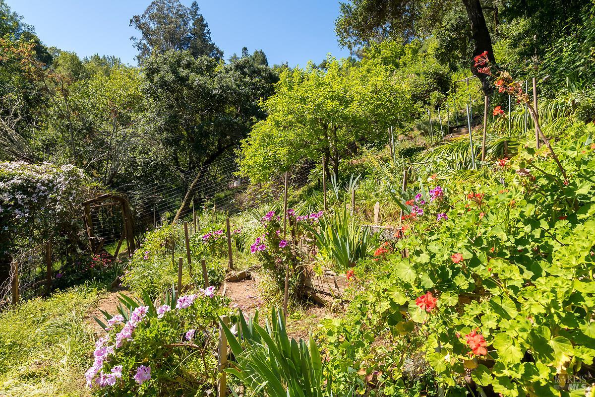 Detail Gallery Image 44 of 62 For 68 Wreden Ave, Fairfax,  CA 94930 - 2 Beds | 2 Baths