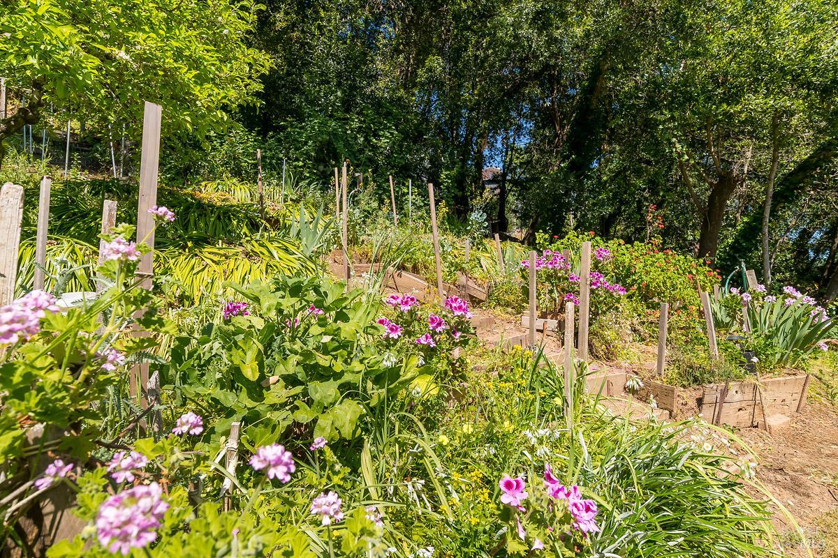 Detail Gallery Image 42 of 62 For 68 Wreden Ave, Fairfax,  CA 94930 - 2 Beds | 2 Baths