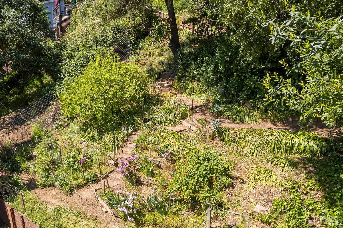 Detail Gallery Image 45 of 62 For 68 Wreden Ave, Fairfax,  CA 94930 - 2 Beds | 2 Baths