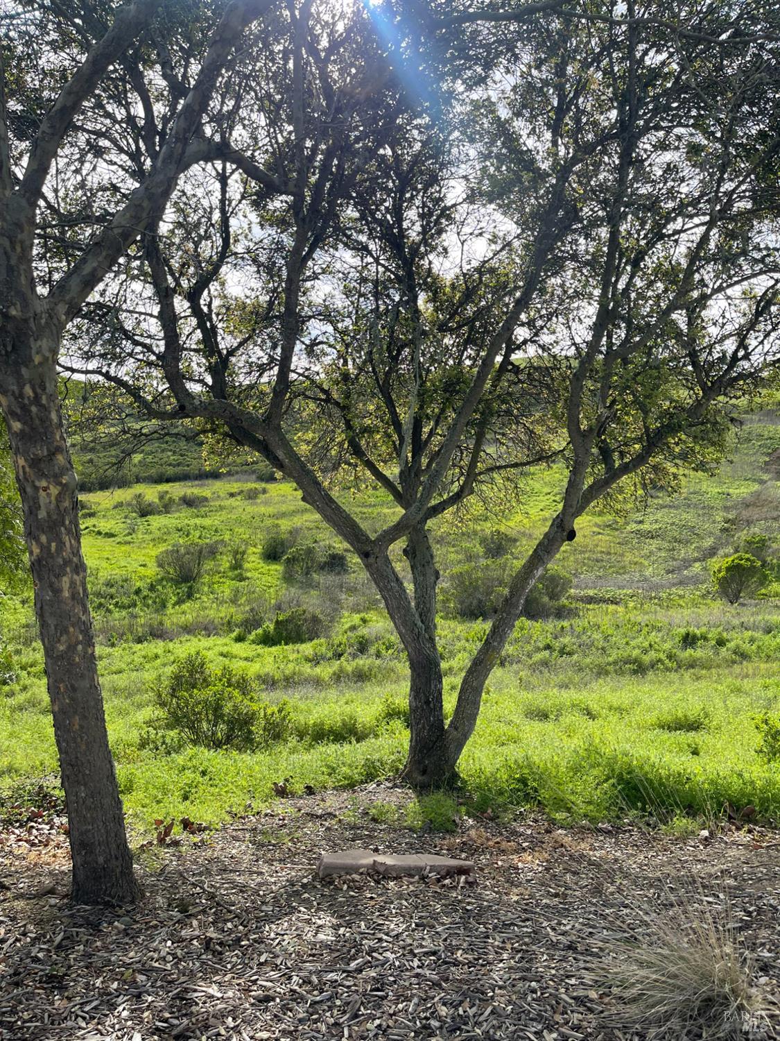 Detail Gallery Image 4 of 8 For 0 Hiddenbrooke Pkwy, Vallejo,  CA 94591 - – Beds | – Baths