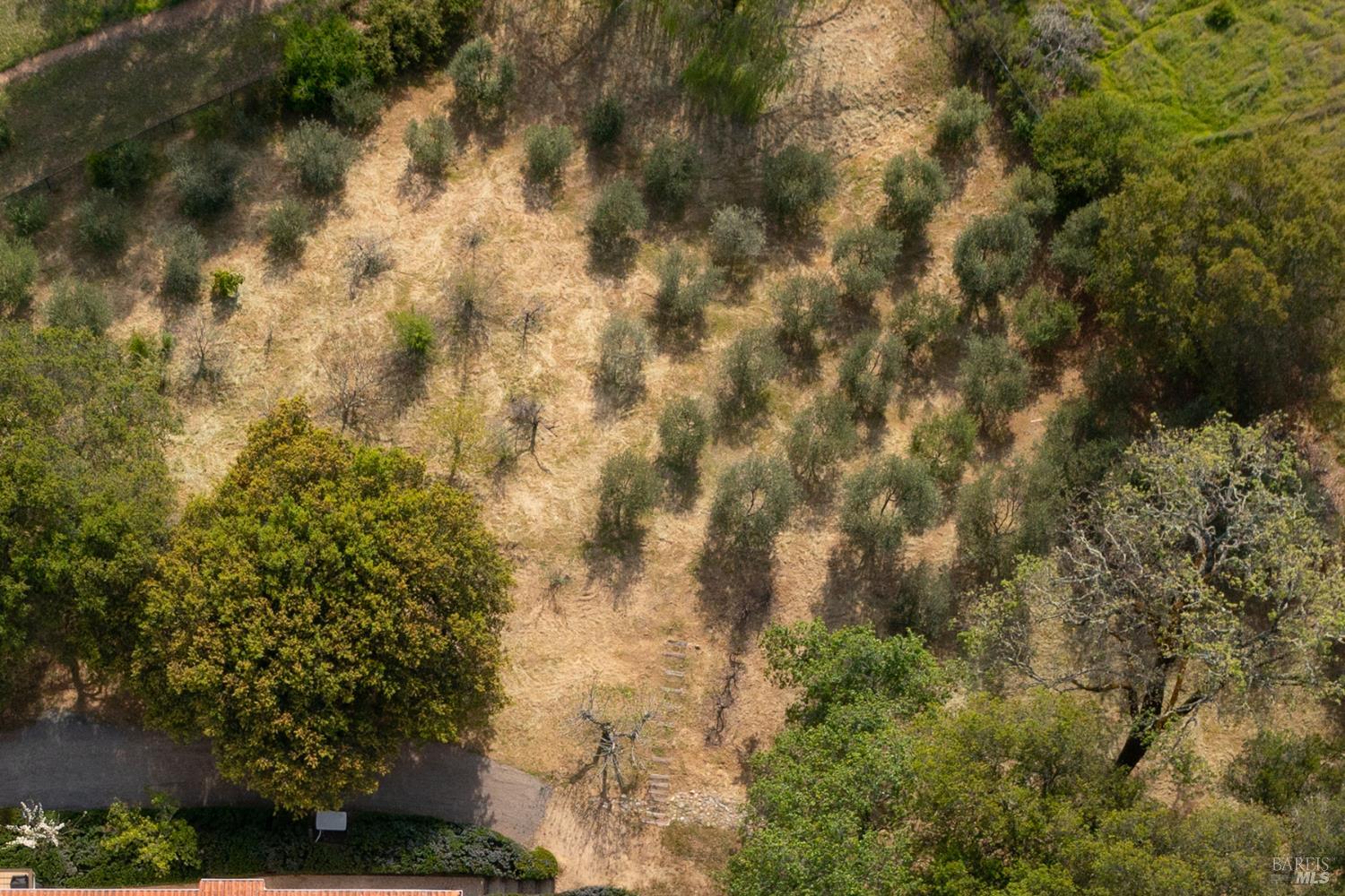 Detail Gallery Image 41 of 44 For 1163 Mountain Pine Rd, Cloverdale,  CA 95425 - 3 Beds | 3/1 Baths