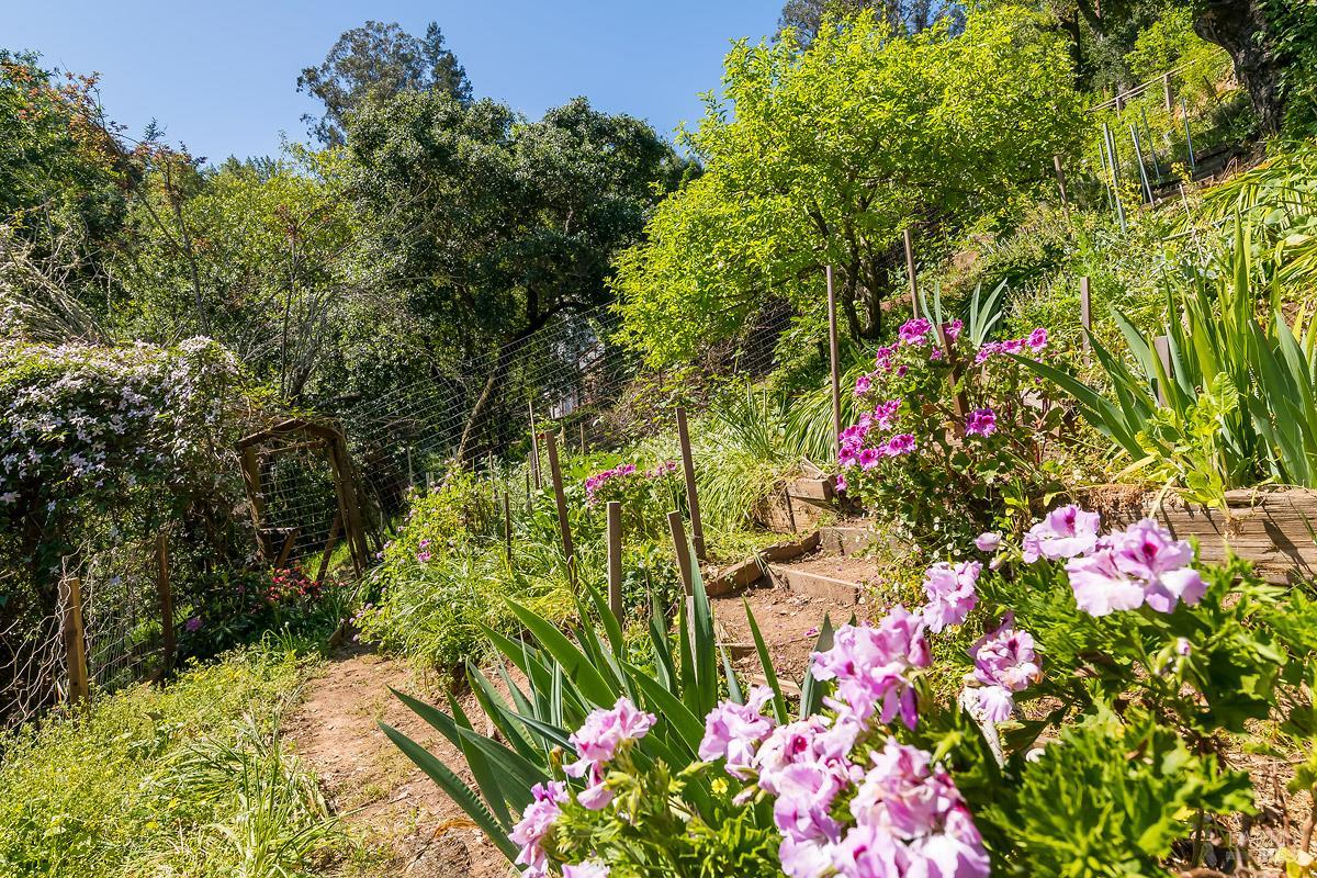 Detail Gallery Image 43 of 62 For 68 Wreden Ave, Fairfax,  CA 94930 - 2 Beds | 2 Baths