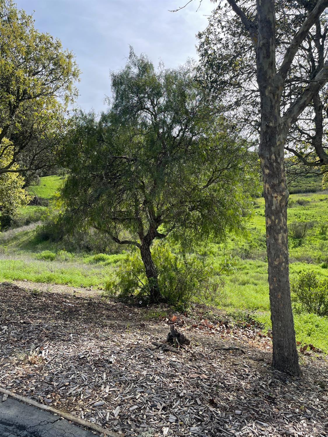 Detail Gallery Image 5 of 8 For 0 Hiddenbrooke Pkwy, Vallejo,  CA 94591 - – Beds | – Baths