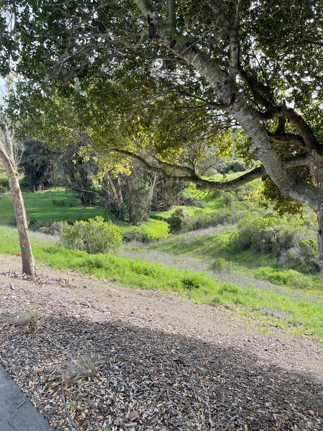 Detail Gallery Image 6 of 8 For 0 Hiddenbrooke Pkwy, Vallejo,  CA 94591 - – Beds | – Baths