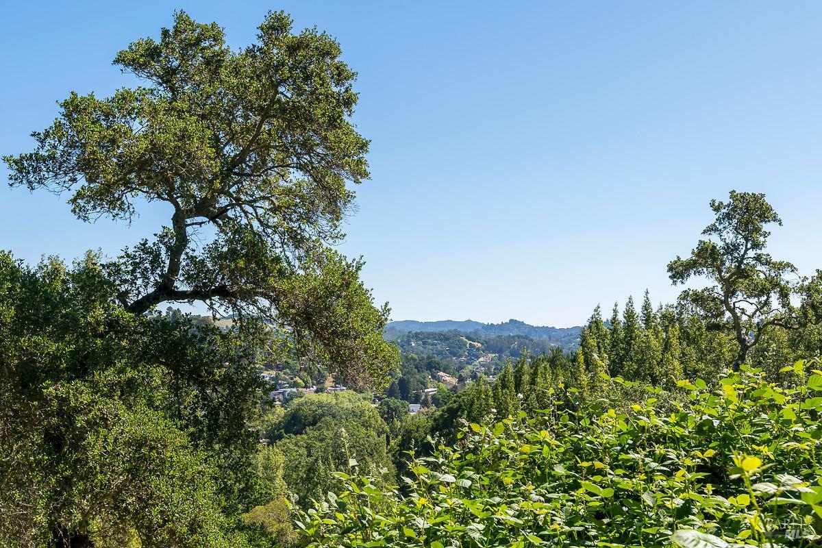 Detail Gallery Image 53 of 62 For 68 Wreden Ave, Fairfax,  CA 94930 - 2 Beds | 2 Baths