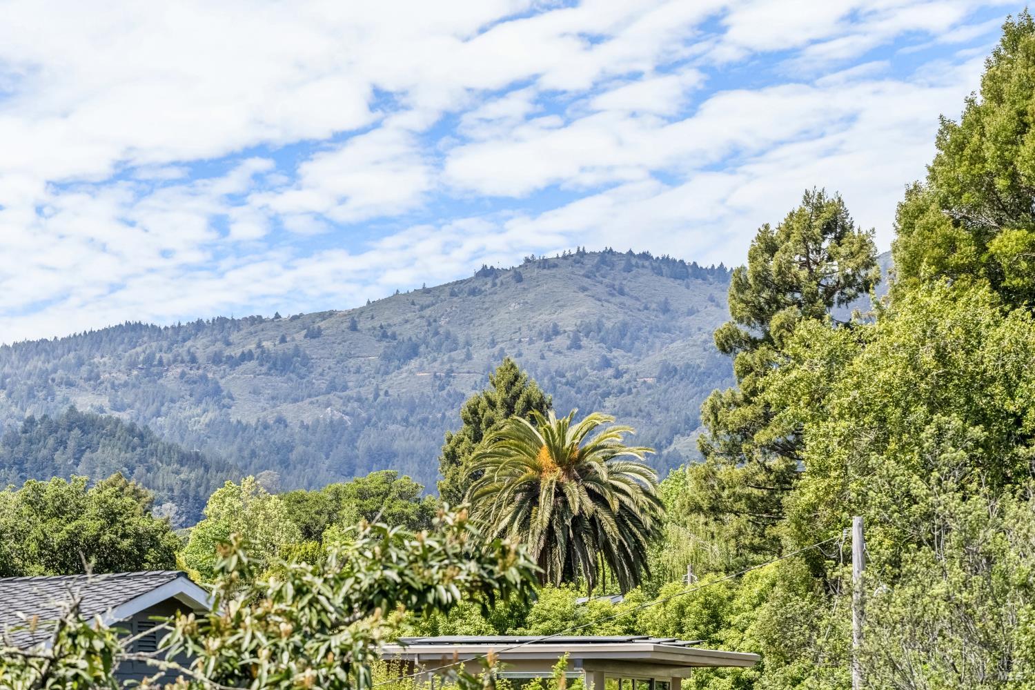 Detail Gallery Image 28 of 39 For 44 Catalpa Ave, Mill Valley,  CA 94941 - 3 Beds | 2 Baths