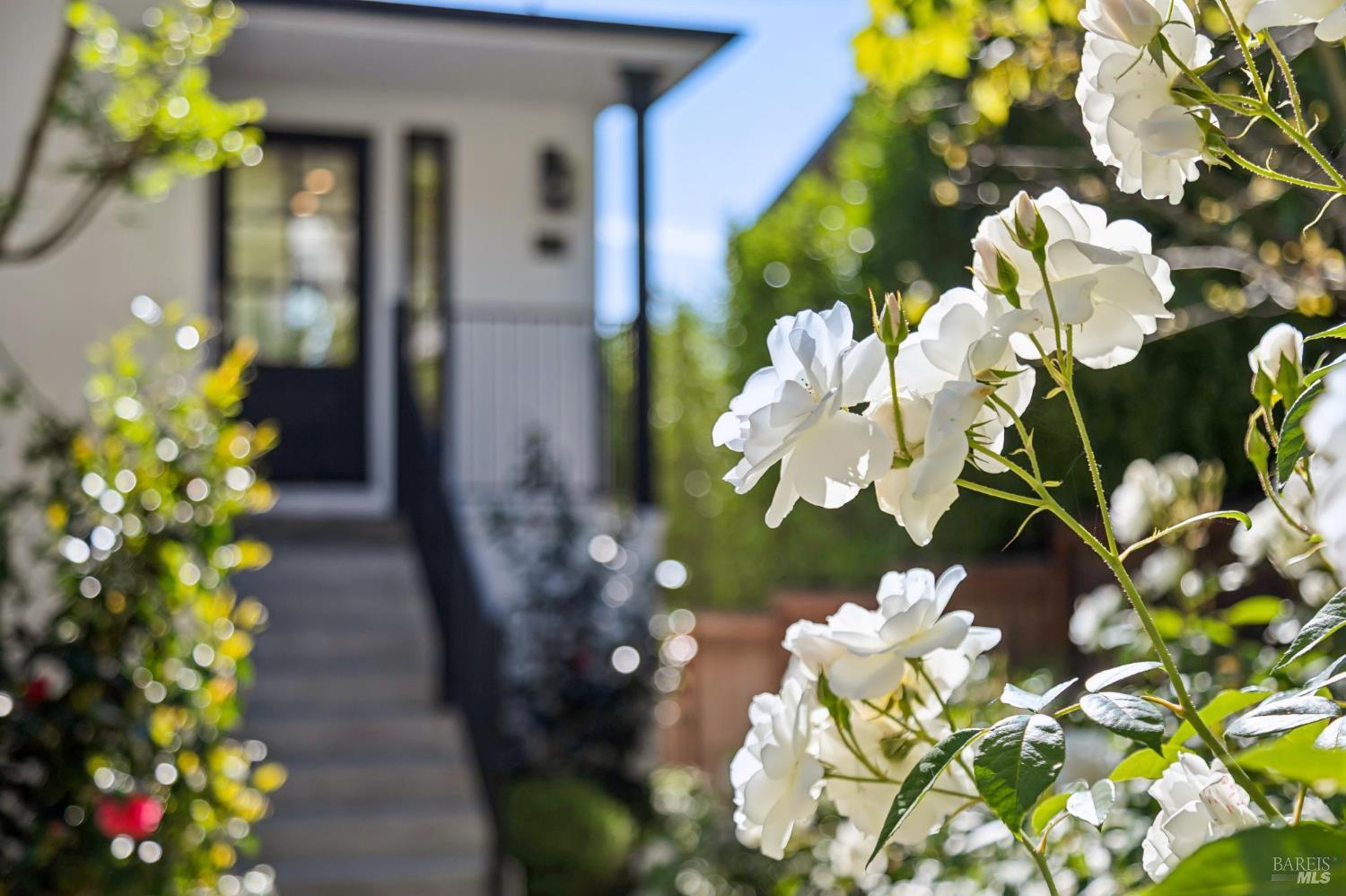 Detail Gallery Image 2 of 42 For 31 Alvarado Ave, Mill Valley,  CA 94941 - 4 Beds | 3 Baths