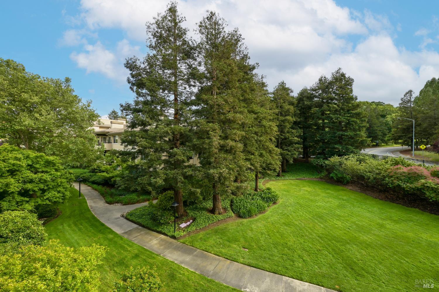 Detail Gallery Image 7 of 22 For 100 Deer Valley Rd 3g,  San Rafael,  CA 94903 - 2 Beds | 2 Baths