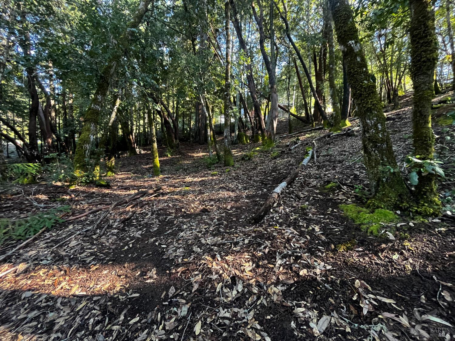 Front Image Thumbnail for BA326030897