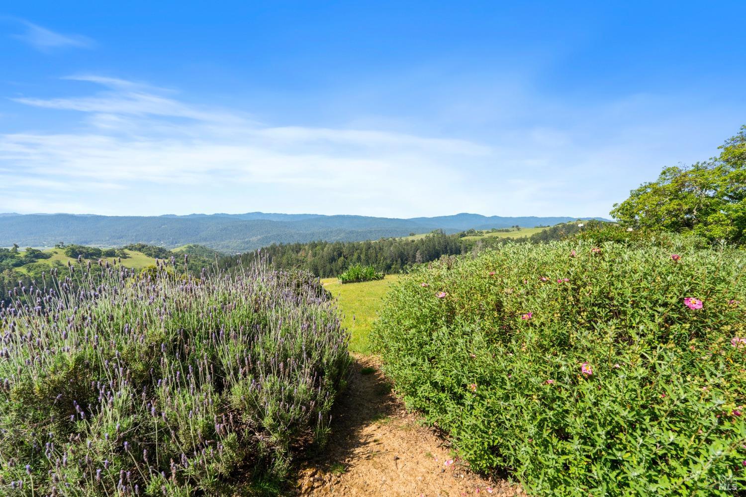 Detail Gallery Image 26 of 40 For 9655 Peachland Rd, Boonville,  CA 95415 - 4 Beds | 4 Baths