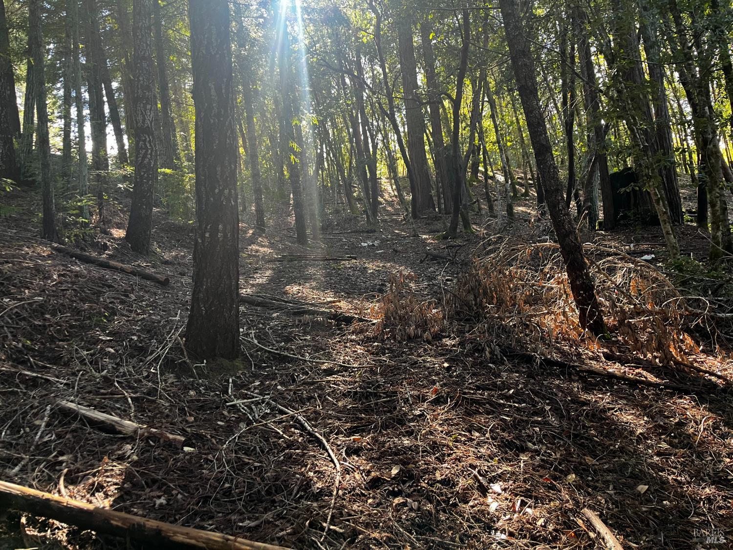 Detail Gallery Image 7 of 8 For 24278 Tulip Dr, Willits,  CA 95490 - – Beds | – Baths