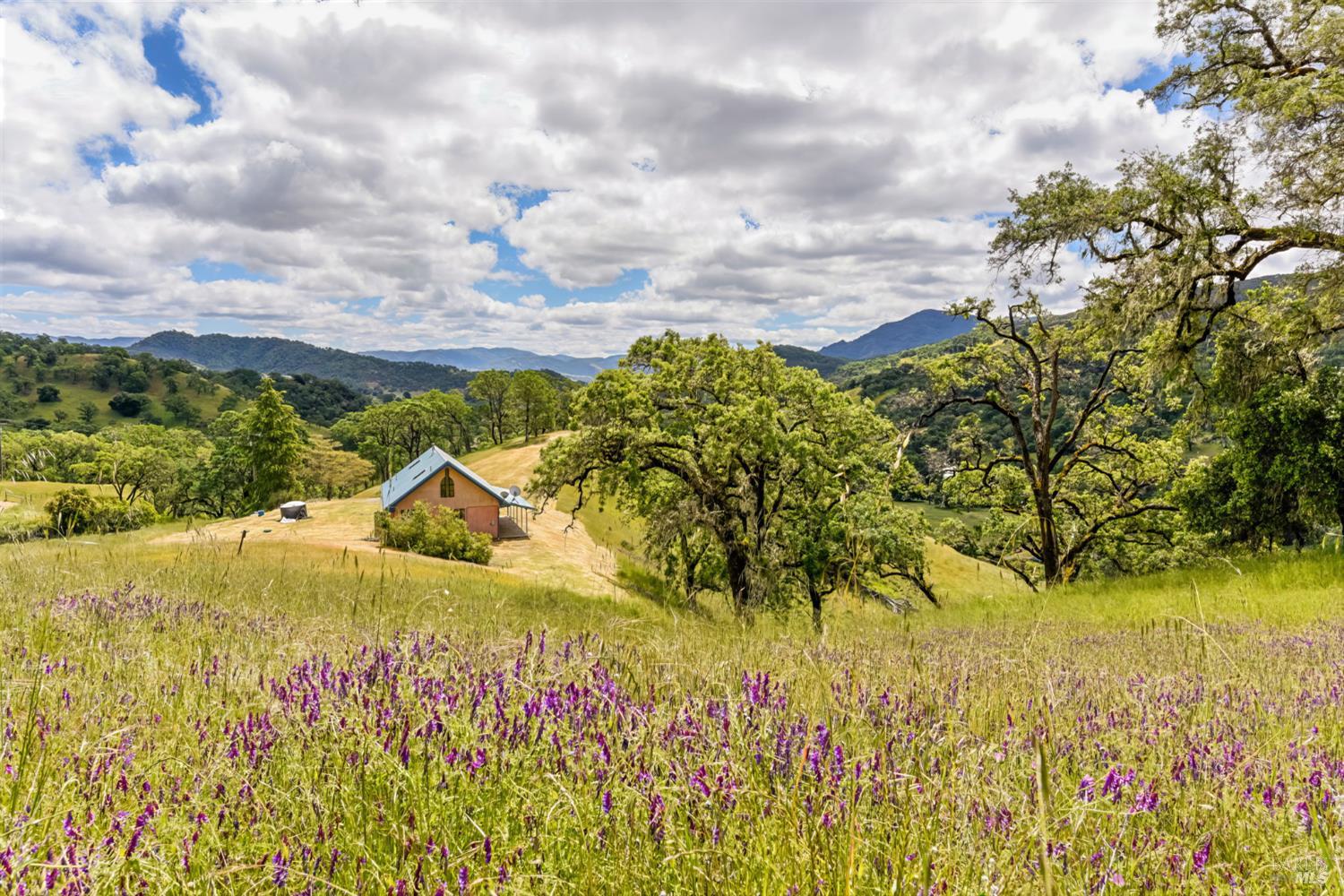 Detail Gallery Image 46 of 46 For 4610 Feliz Creek Rd, Hopland,  CA 95449 - 1 Beds | 1/1 Baths
