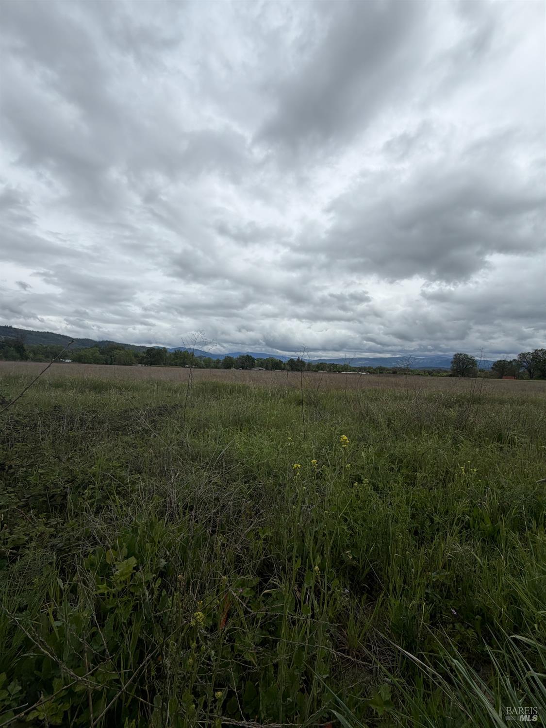 Detail Gallery Image 9 of 13 For 77685 Crawford Rd, Covelo,  CA 95428 - – Beds | – Baths