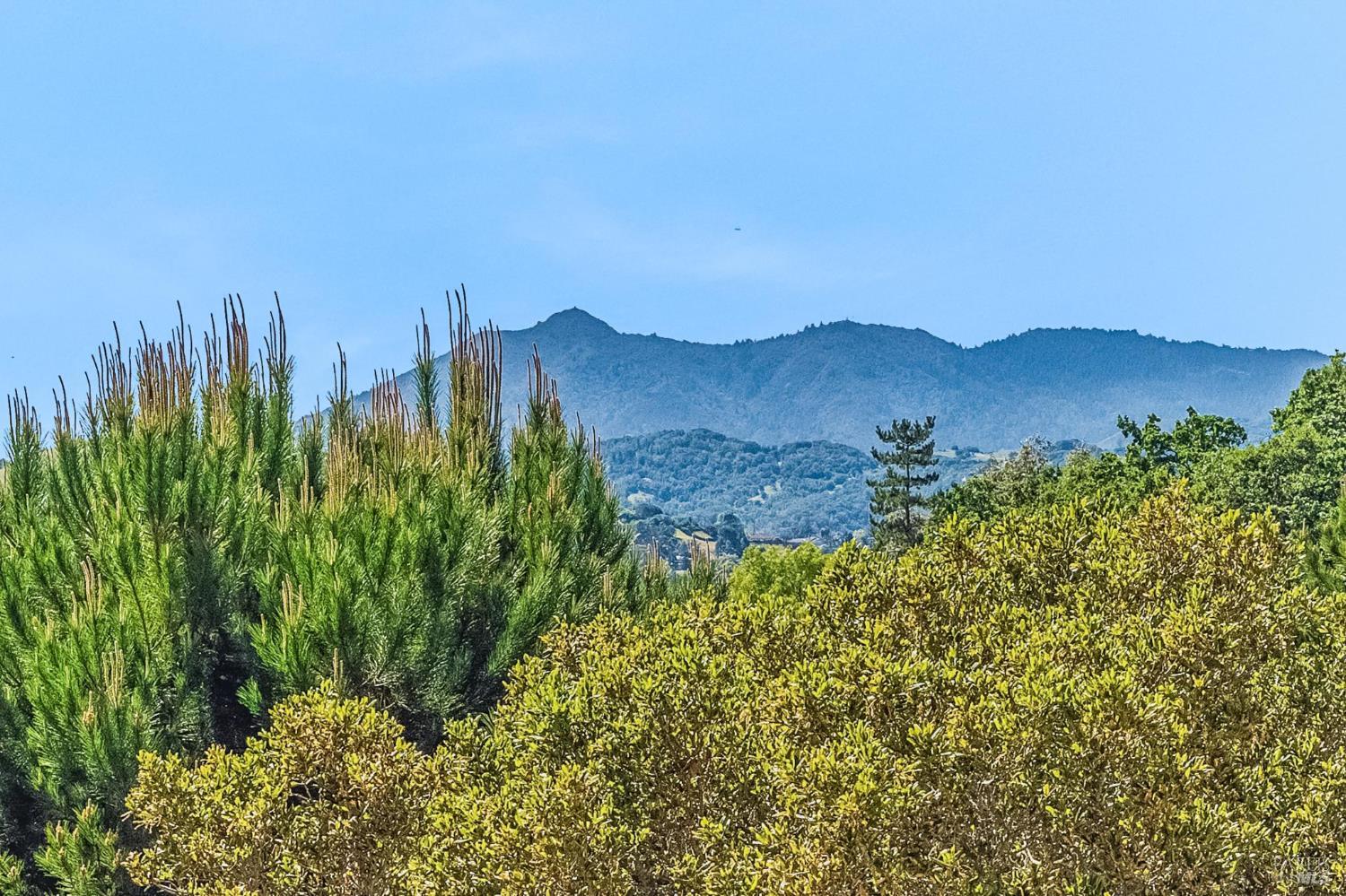 Detail Gallery Image 24 of 56 For 5 Heatherstone Ln, San Rafael,  CA 94903 - 4 Beds | 3 Baths