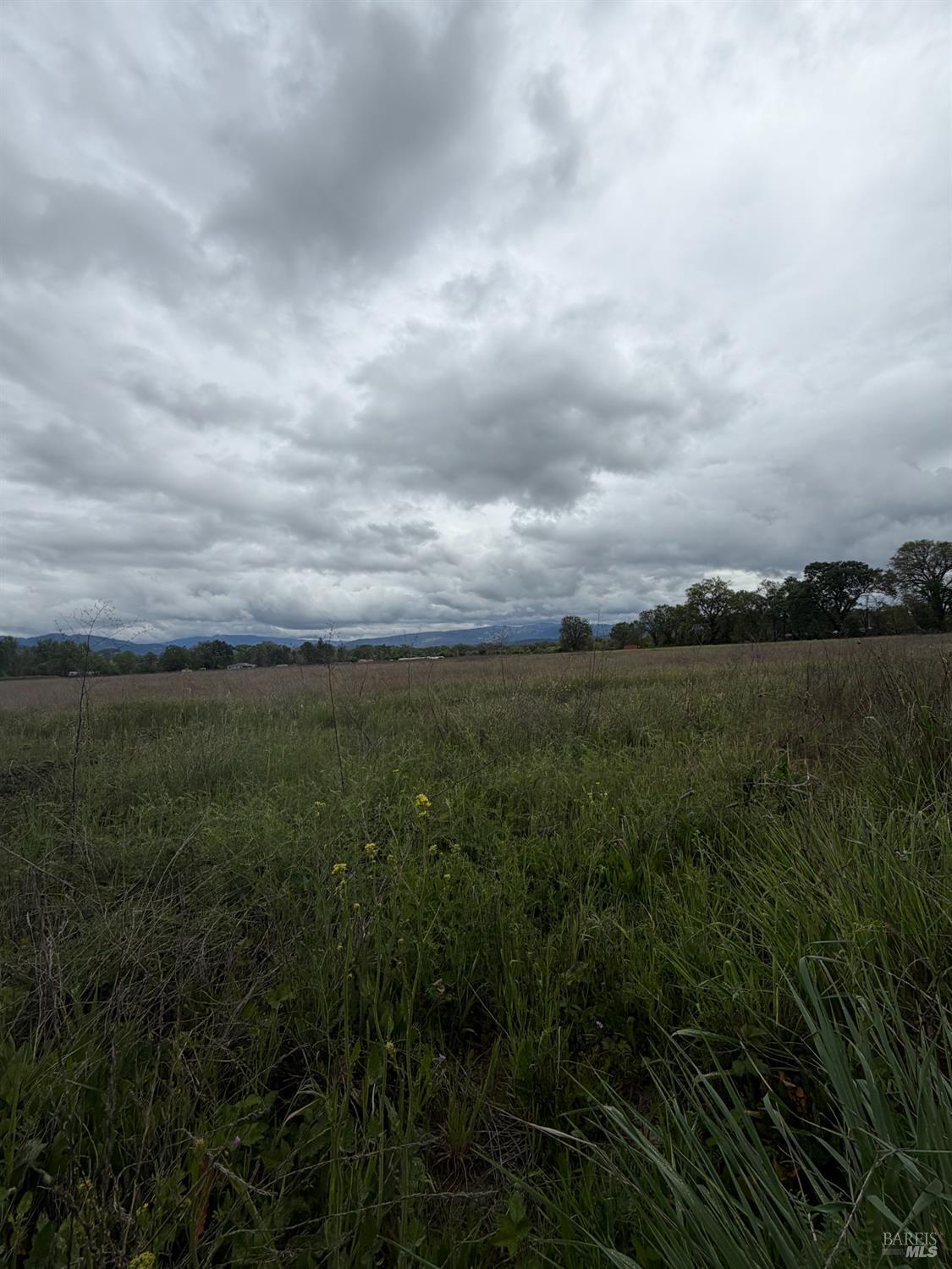 Detail Gallery Image 8 of 13 For 77685 Crawford Rd, Covelo,  CA 95428 - – Beds | – Baths