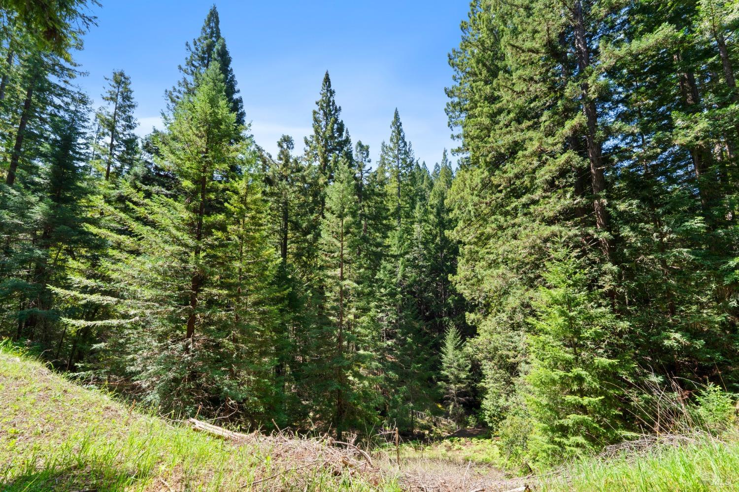 Detail Gallery Image 37 of 40 For 9655 Peachland Rd, Boonville,  CA 95415 - 4 Beds | 4 Baths