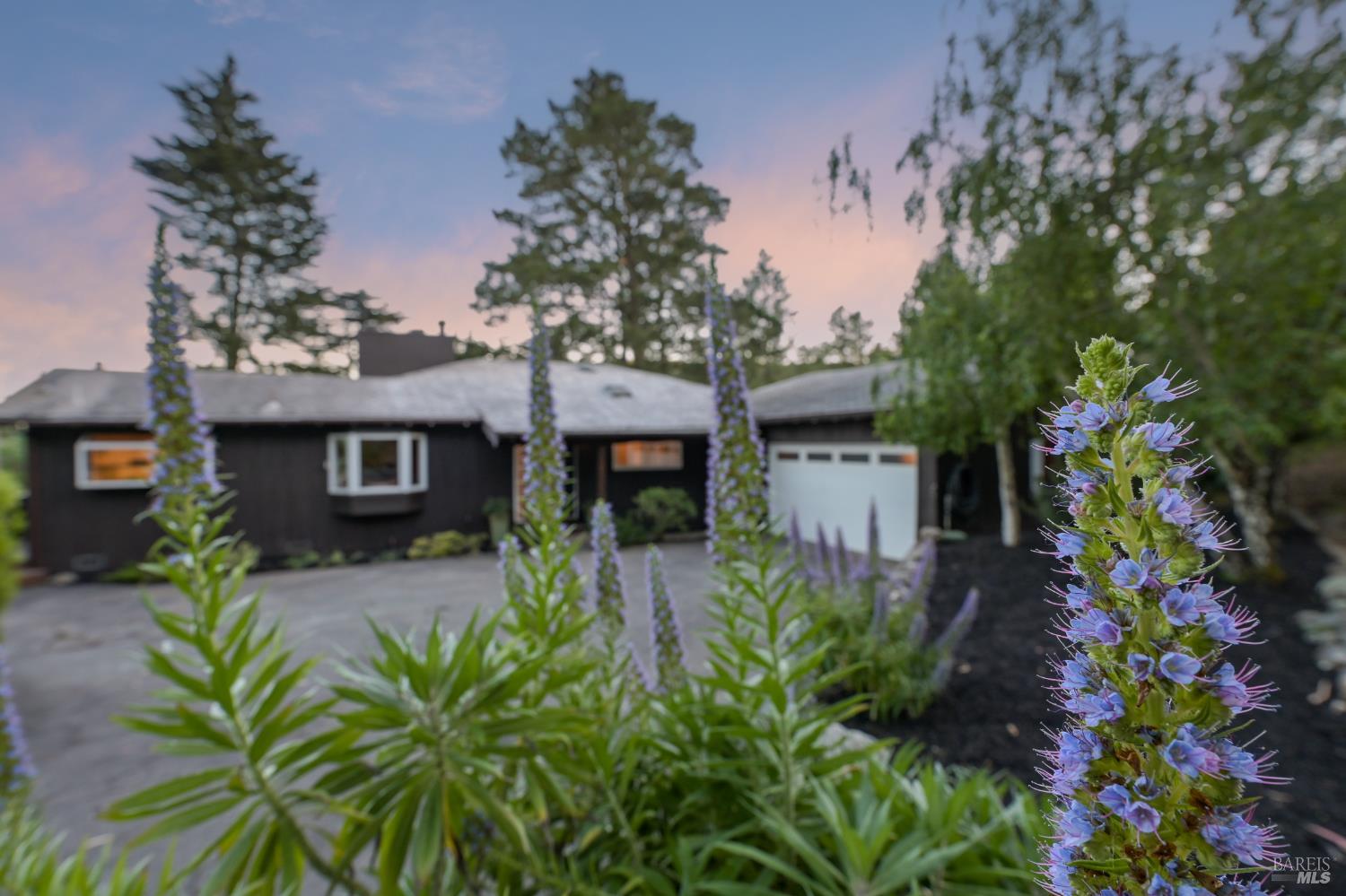 Detail Gallery Image 45 of 47 For 195 Edgewood Ave, Mill Valley,  CA 94941 - 4 Beds | 3 Baths