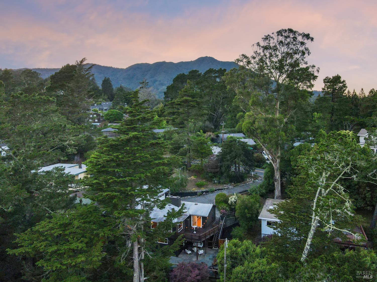 Detail Gallery Image 42 of 47 For 195 Edgewood Ave, Mill Valley,  CA 94941 - 4 Beds | 3 Baths
