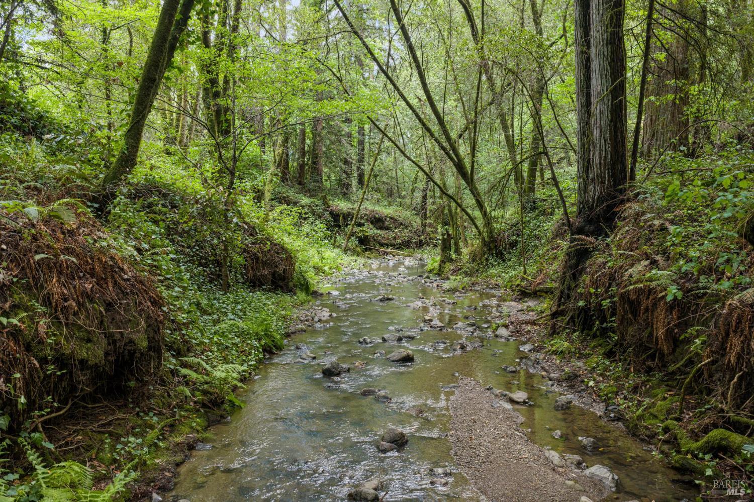 11910 Graton Road photo 2