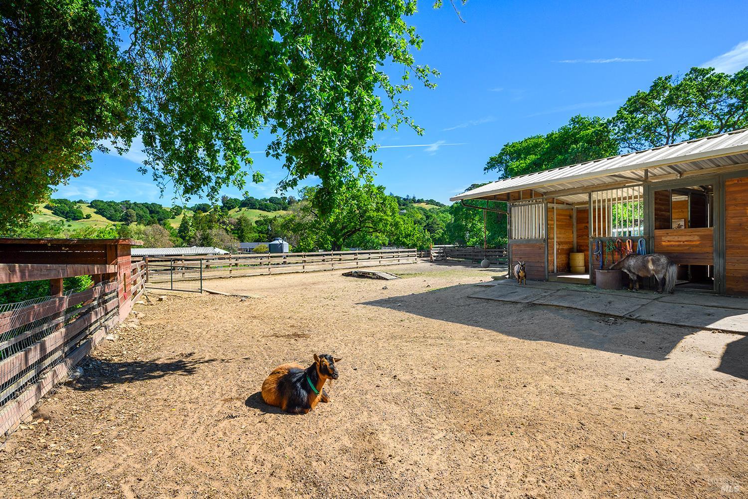 Detail Gallery Image 74 of 80 For 15 Wildwood Ln, Novato,  CA 94947 - 5 Beds | 4/1 Baths