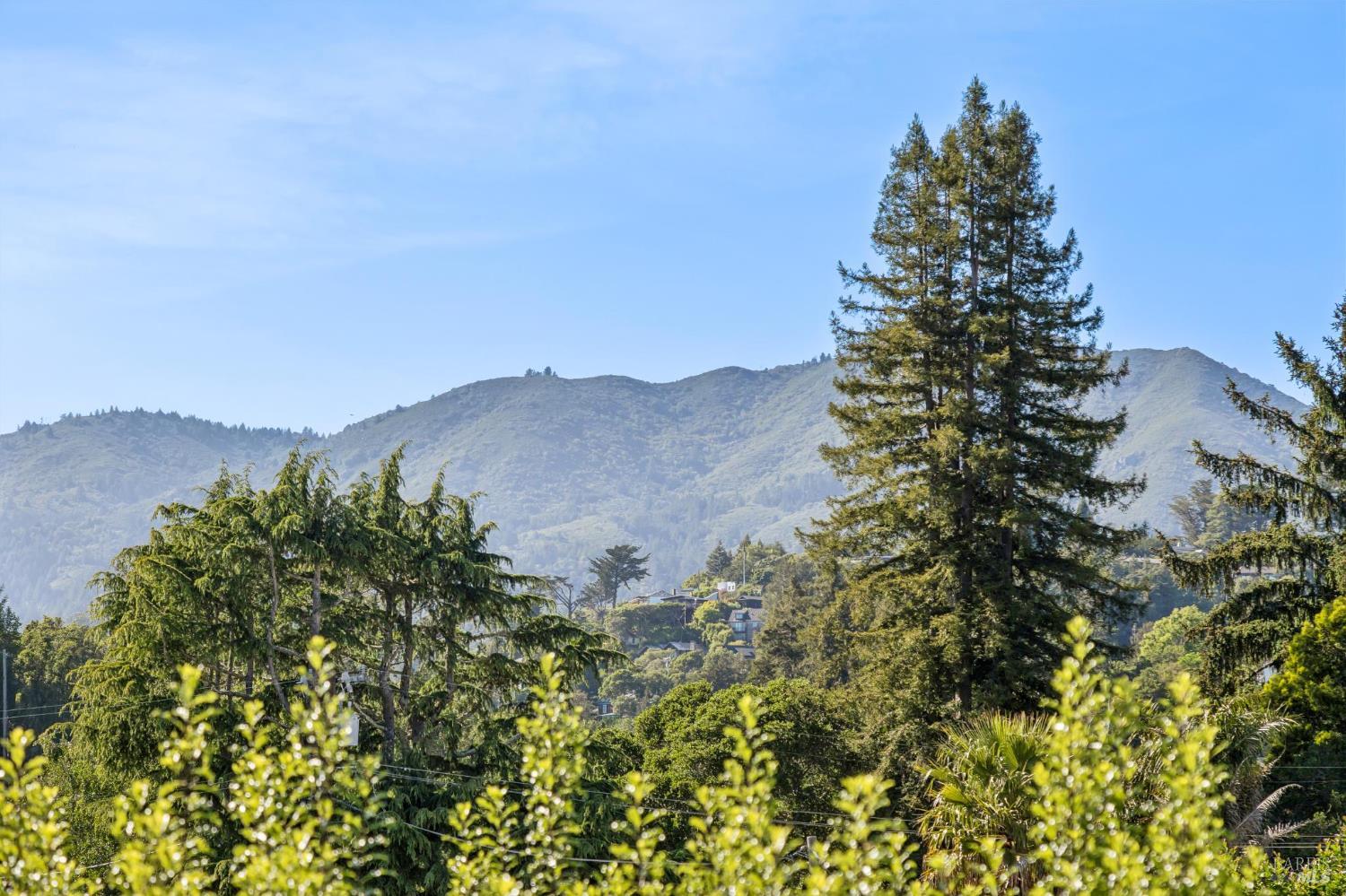 Detail Gallery Image 11 of 42 For 31 Alvarado Ave, Mill Valley,  CA 94941 - 4 Beds | 3 Baths