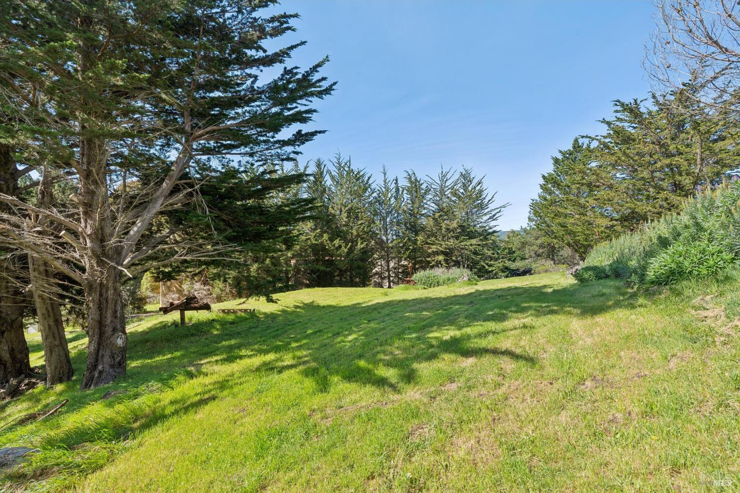 Detail Gallery Image 38 of 64 For 11798 Highway 1 Unkn, Point Reyes Station,  CA 94956 - 3 Beds | 3/1 Baths