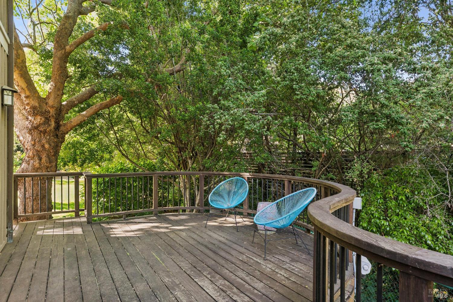 Detail Gallery Image 32 of 56 For 230 Summit Ave, San Rafael,  CA 94901 - 5 Beds | 4/1 Baths