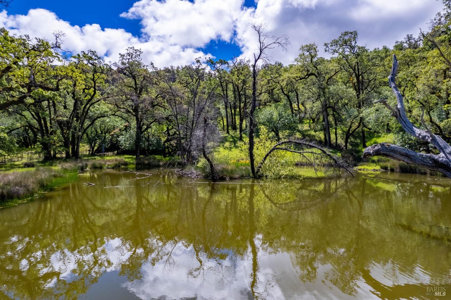 Detail Gallery Image 27 of 60 For 15890 Yorkville Ranch Rd, Yorkville,  CA 95494 - 2 Beds | 1 Baths
