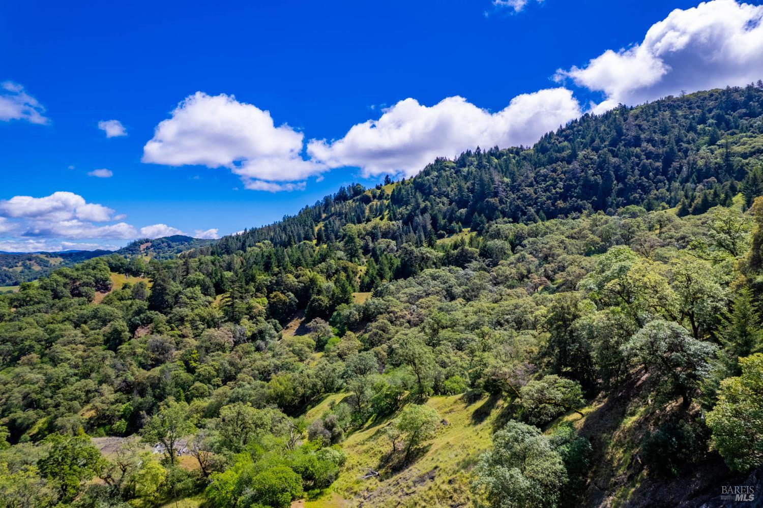 Detail Gallery Image 51 of 60 For 15890 Yorkville Ranch Rd, Yorkville,  CA 95494 - 2 Beds | 1 Baths