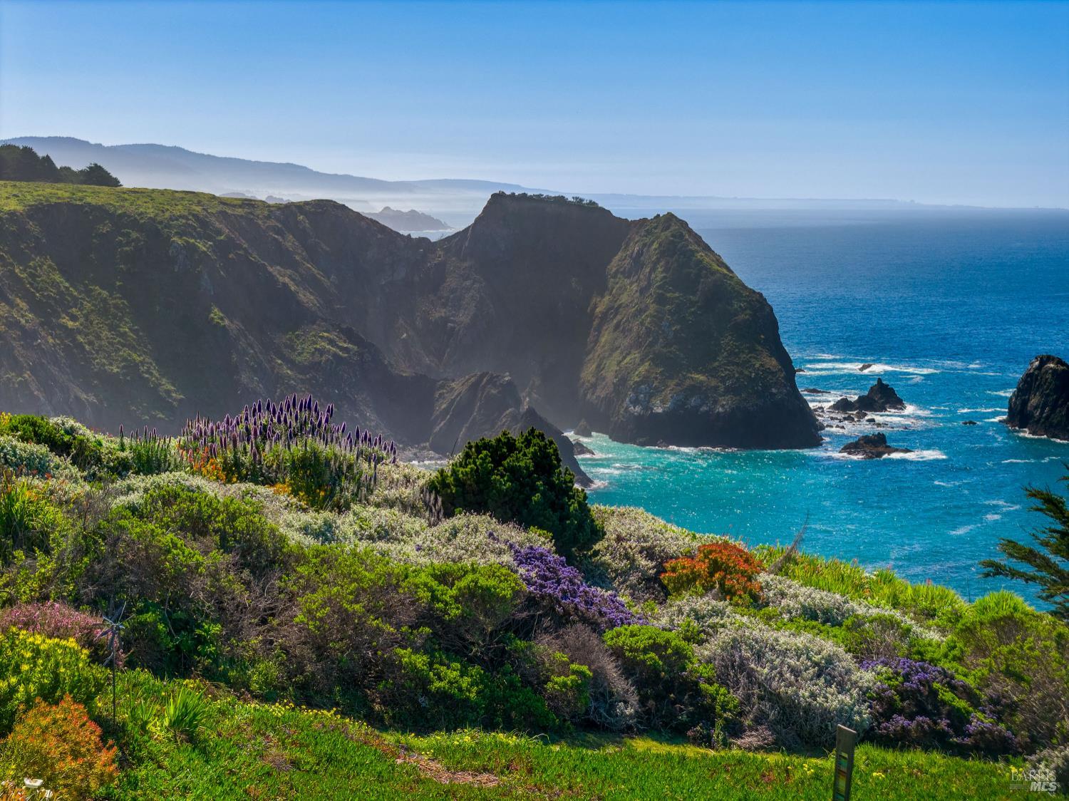 Front Image Thumbnail for BA326031464