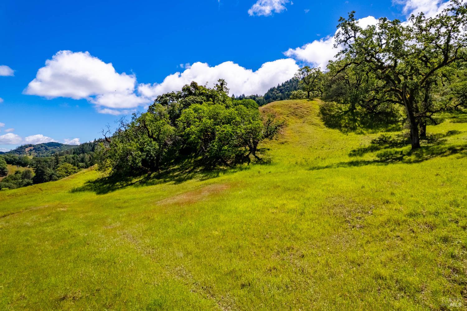 Detail Gallery Image 50 of 60 For 15890 Yorkville Ranch Rd, Yorkville,  CA 95494 - 2 Beds | 1 Baths