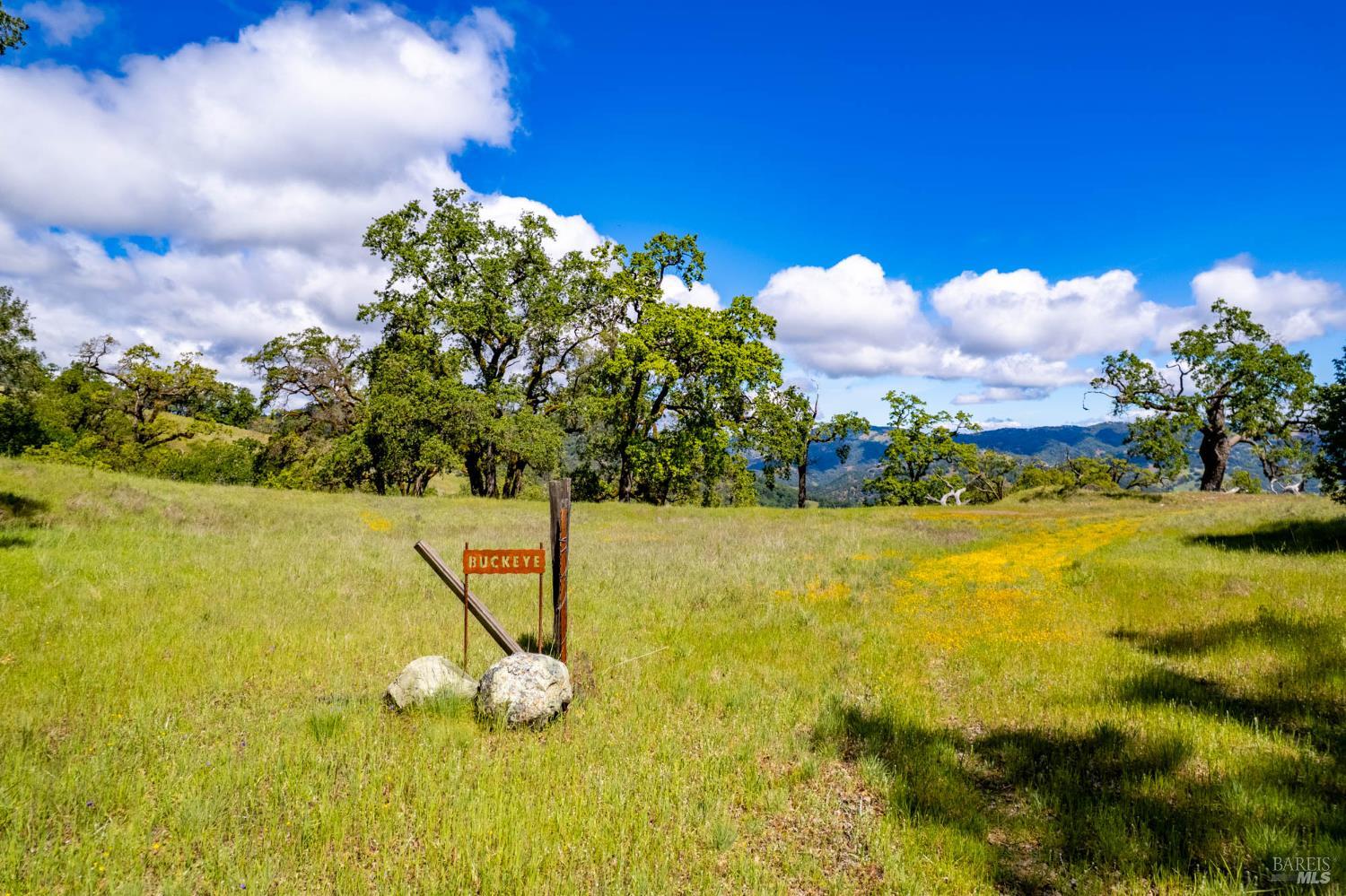 Detail Gallery Image 29 of 60 For 15890 Yorkville Ranch Rd, Yorkville,  CA 95494 - 2 Beds | 1 Baths