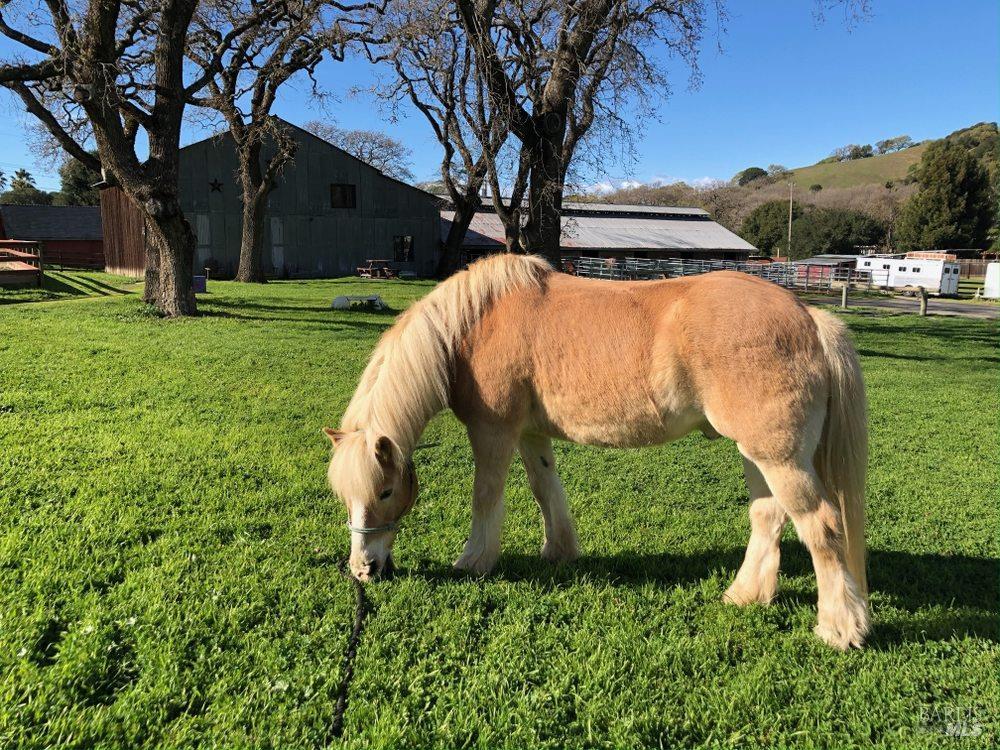 Detail Gallery Image 51 of 80 For 15 Wildwood Ln, Novato,  CA 94947 - 5 Beds | 4/1 Baths