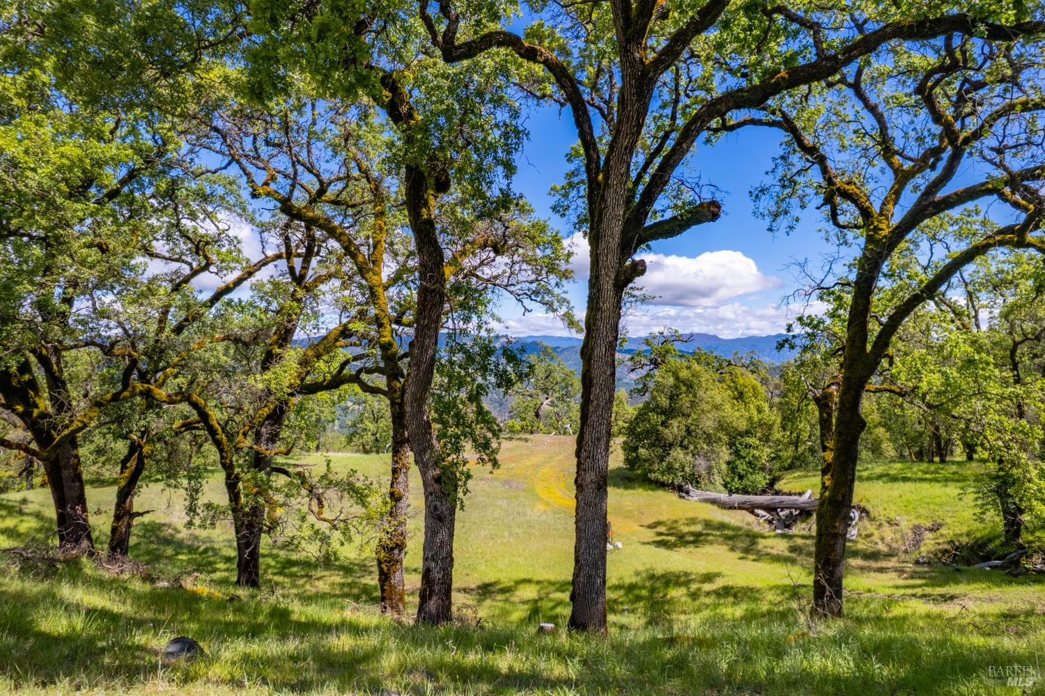 Detail Gallery Image 24 of 60 For 15890 Yorkville Ranch Rd, Yorkville,  CA 95494 - 2 Beds | 1 Baths