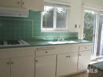 Detail Gallery Image 9 of 13 For 11 Chestnut Ave, San Rafael,  CA 94901 - 2 Beds | 1 Baths