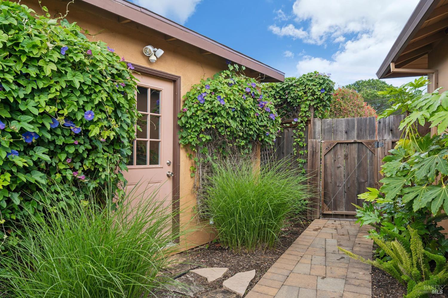 Detail Gallery Image 28 of 29 For 24 Maywood Way, San Rafael,  CA 94901 - 3 Beds | 2 Baths