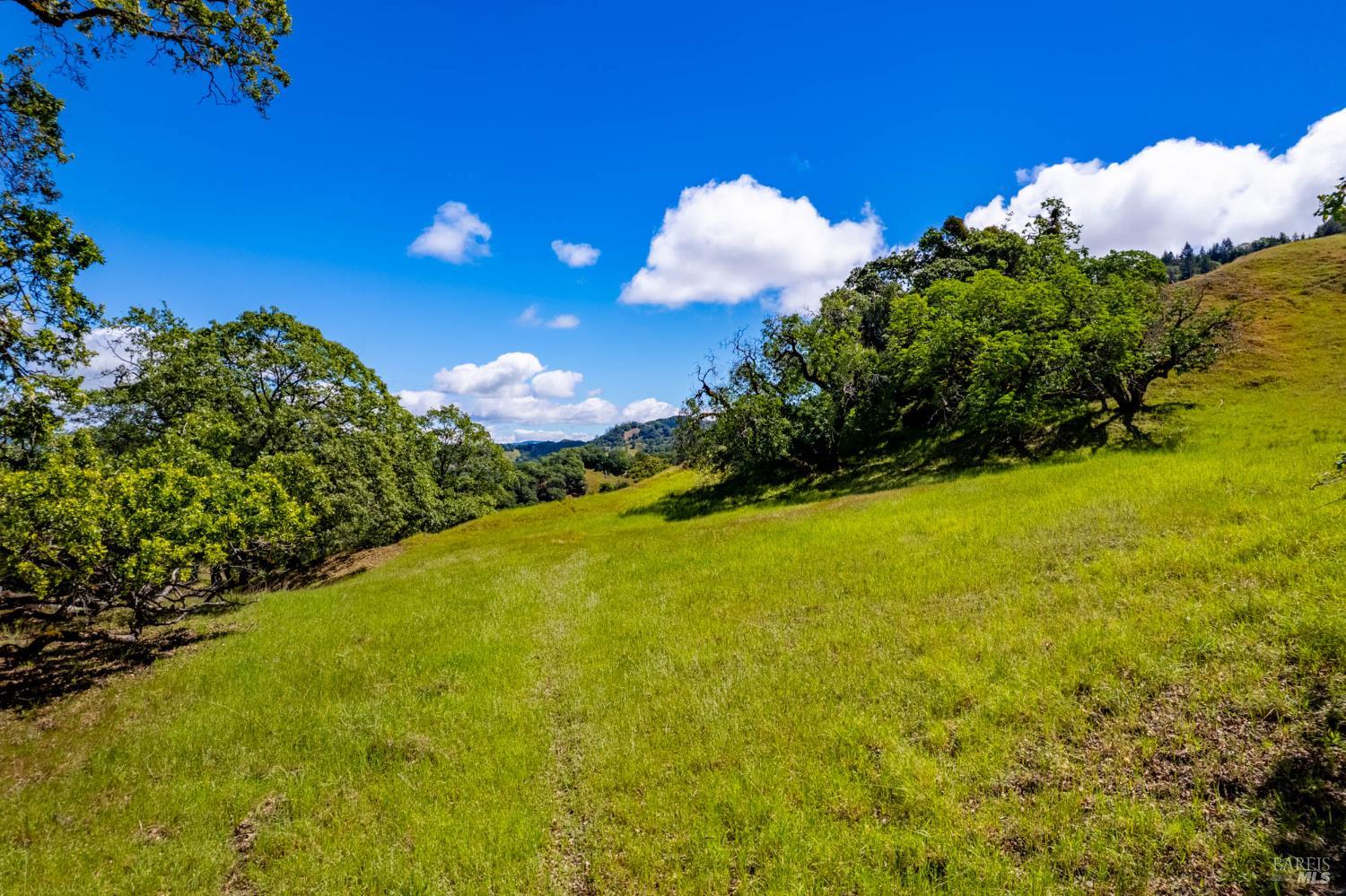 Detail Gallery Image 49 of 60 For 15890 Yorkville Ranch Rd, Yorkville,  CA 95494 - 2 Beds | 1 Baths