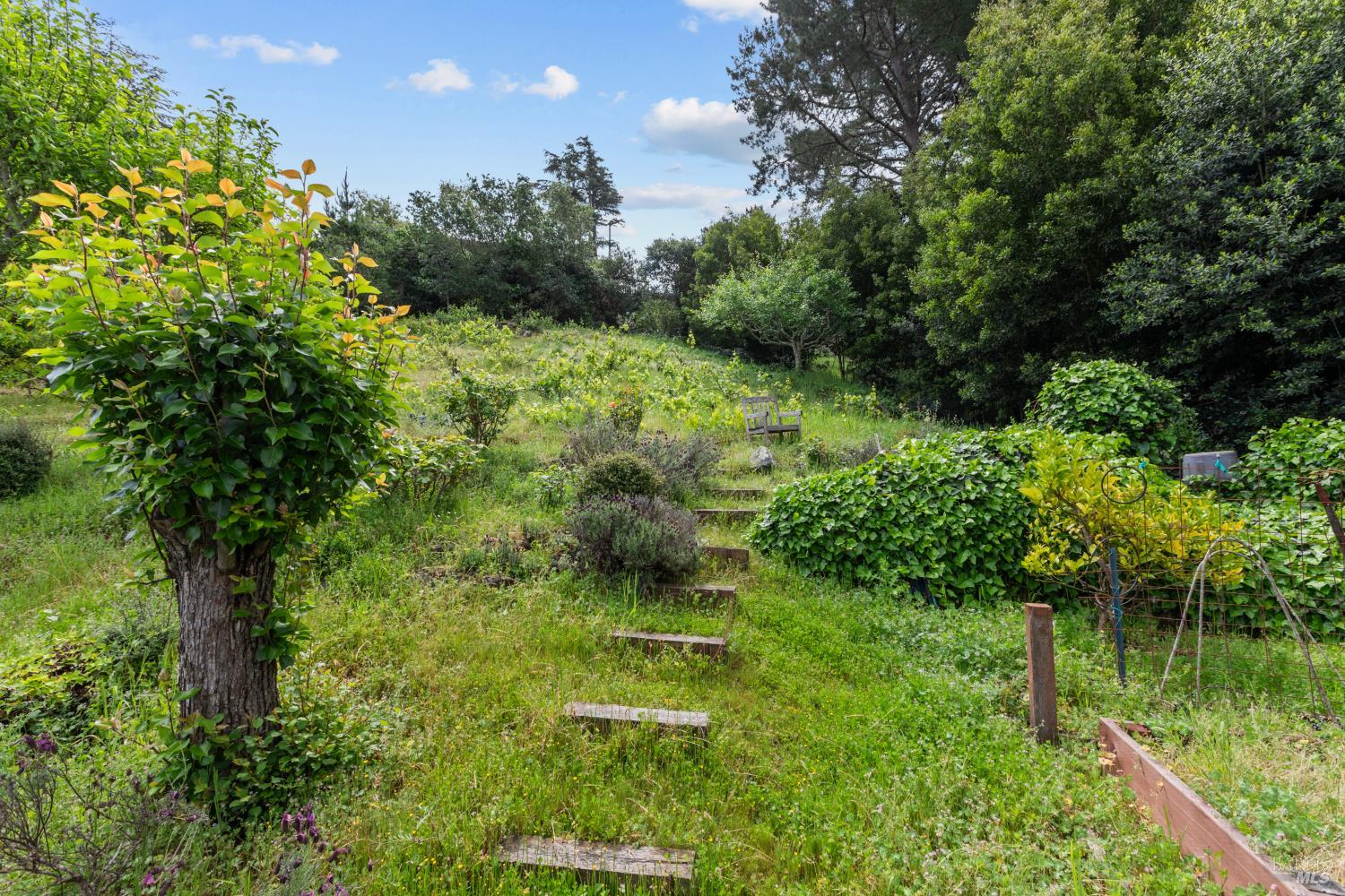 Detail Gallery Image 29 of 35 For 321 Laurel Way, Mill Valley,  CA 94941 - 3 Beds | 2 Baths