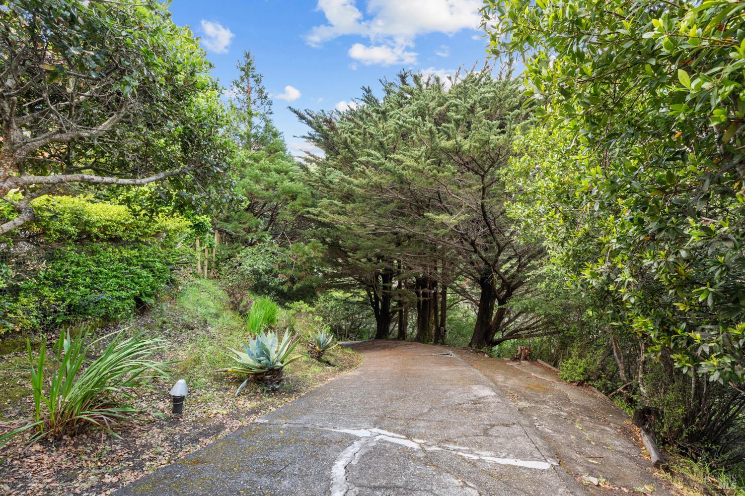 Detail Gallery Image 32 of 35 For 321 Laurel Way, Mill Valley,  CA 94941 - 3 Beds | 2 Baths