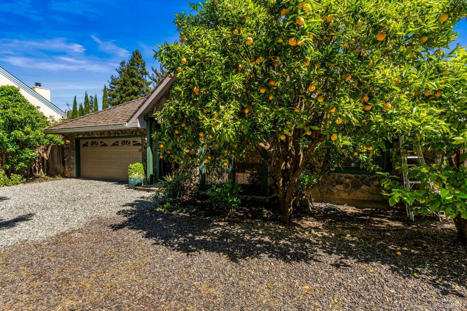 6578 Oak Leaf Court photo 3