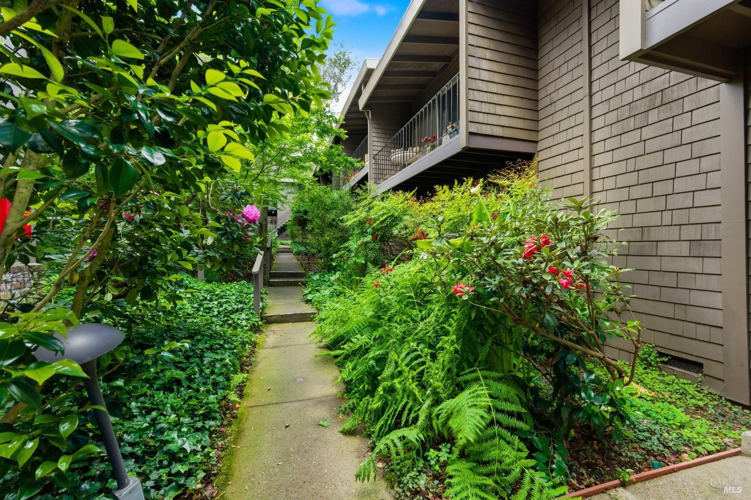 Detail Gallery Image 25 of 34 For 1411 Casa Buena Dr #46,  Corte Madera,  CA 94925 - 2 Beds | 1 Baths