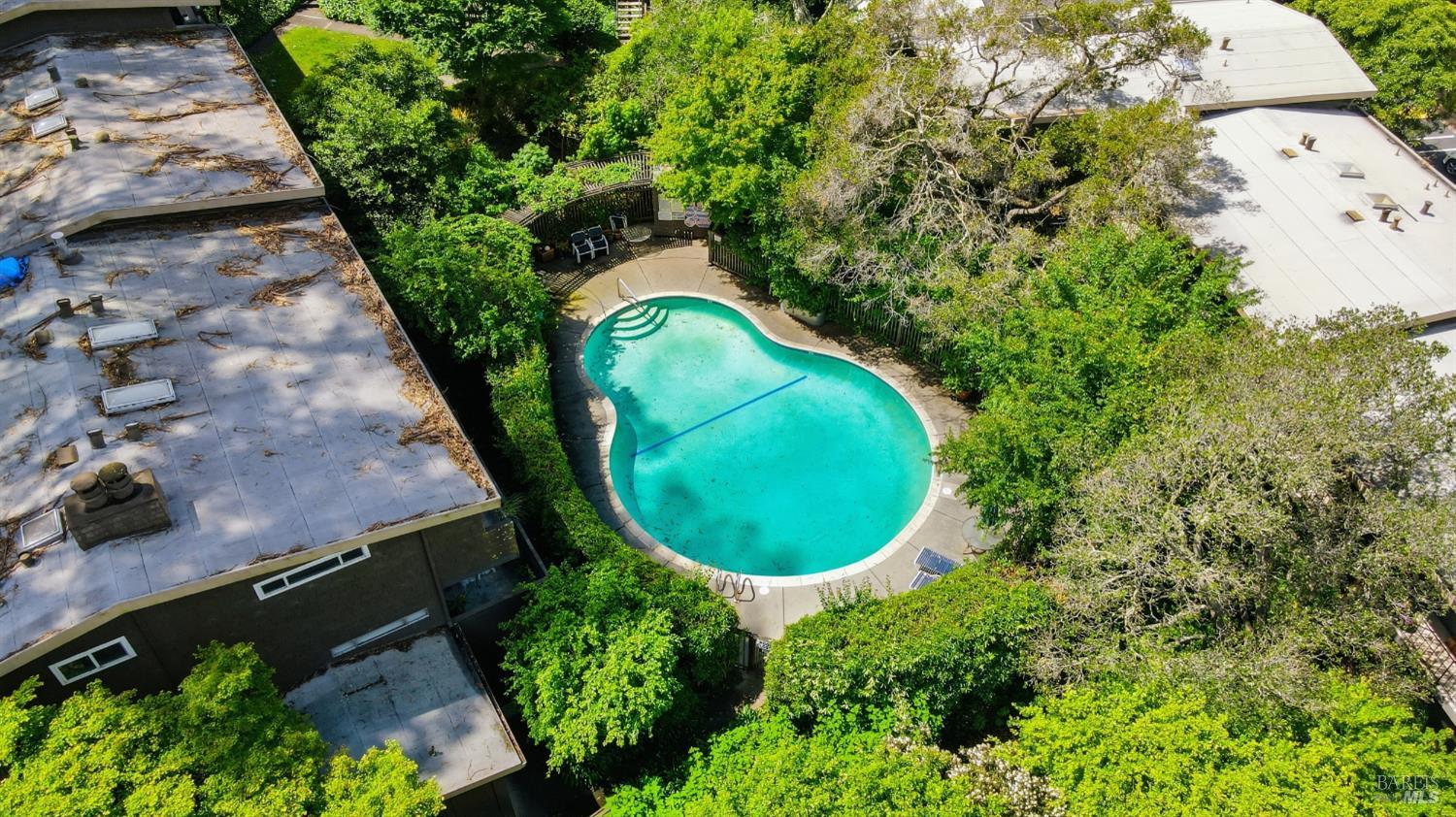 Detail Gallery Image 23 of 34 For 1411 Casa Buena Dr #46,  Corte Madera,  CA 94925 - 2 Beds | 1 Baths