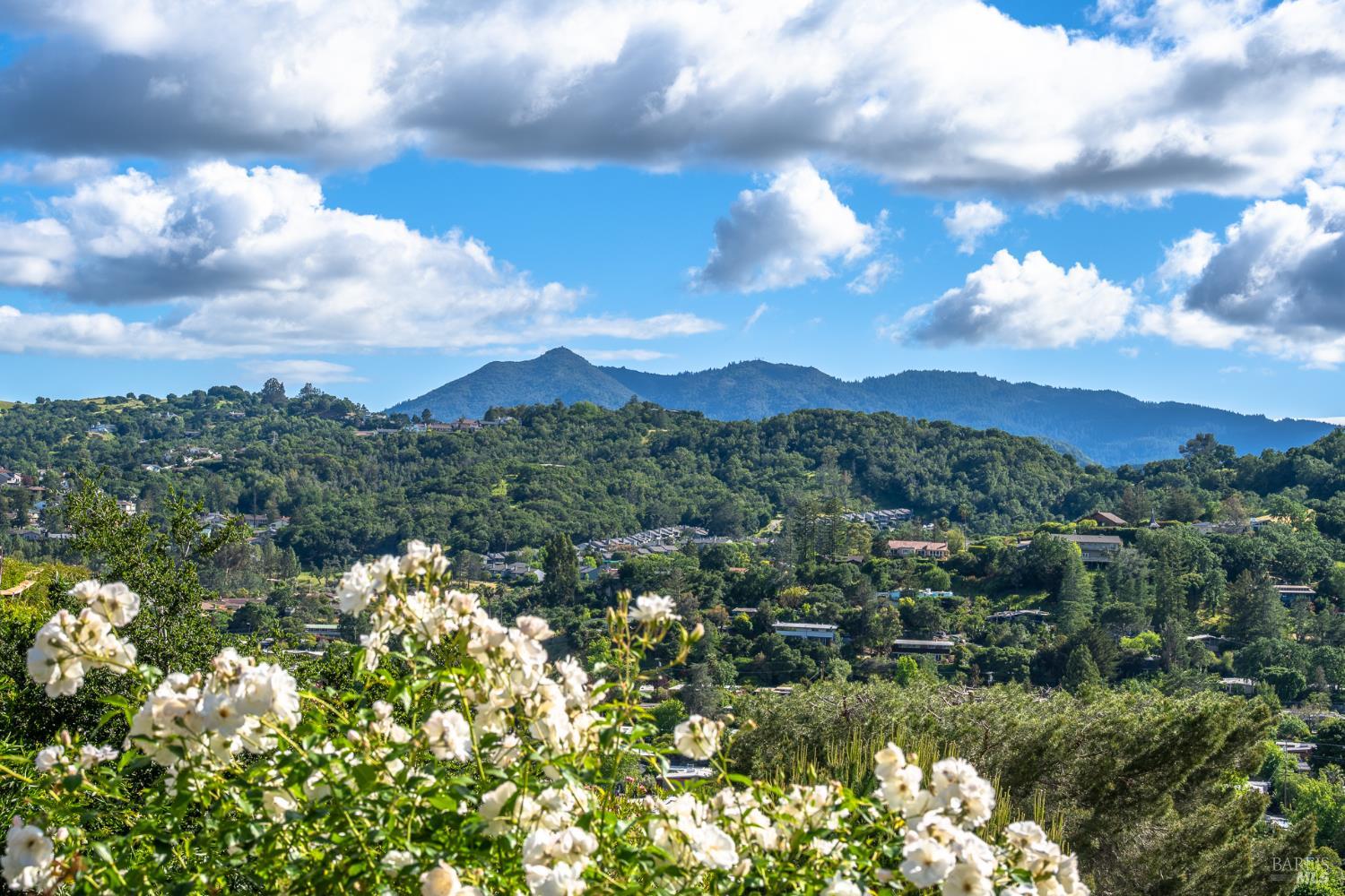 Detail Gallery Image 33 of 44 For 4 Galway Ln, San Rafael,  CA 94903 - 4 Beds | 3/1 Baths