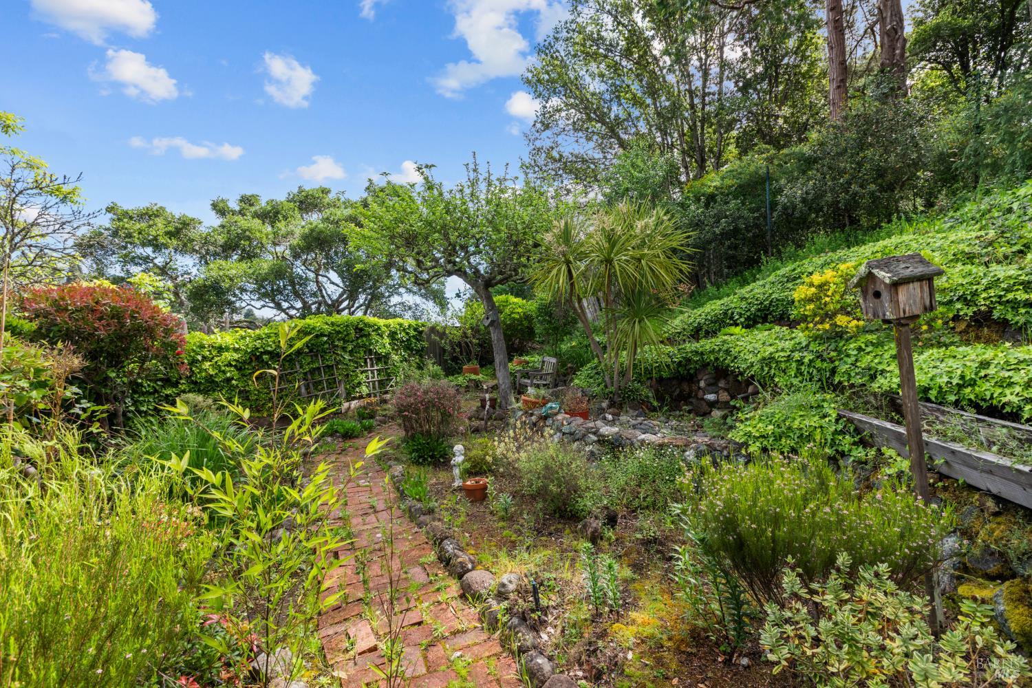 Detail Gallery Image 27 of 35 For 321 Laurel Way, Mill Valley,  CA 94941 - 3 Beds | 2 Baths