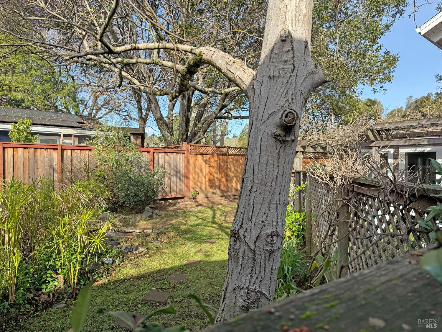 Detail Gallery Image 10 of 26 For 1025 Fifth St, Novato,  CA 94945 - – Beds | – Baths