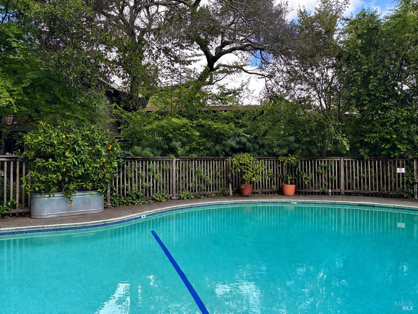 Detail Gallery Image 24 of 34 For 1411 Casa Buena Dr #46,  Corte Madera,  CA 94925 - 2 Beds | 1 Baths