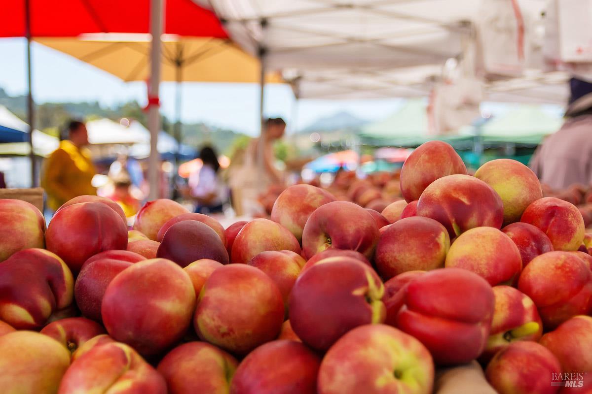 Detail Gallery Image 84 of 84 For 1100 Bayhills Dr, San Rafael,  CA 94903 - 5 Beds | 5/1 Baths