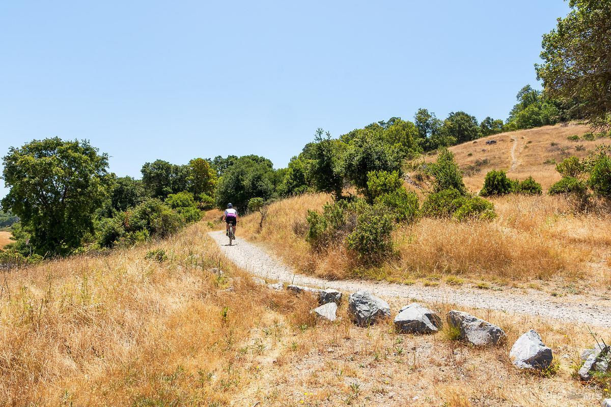 Detail Gallery Image 79 of 84 For 1100 Bayhills Dr, San Rafael,  CA 94903 - 5 Beds | 5/1 Baths