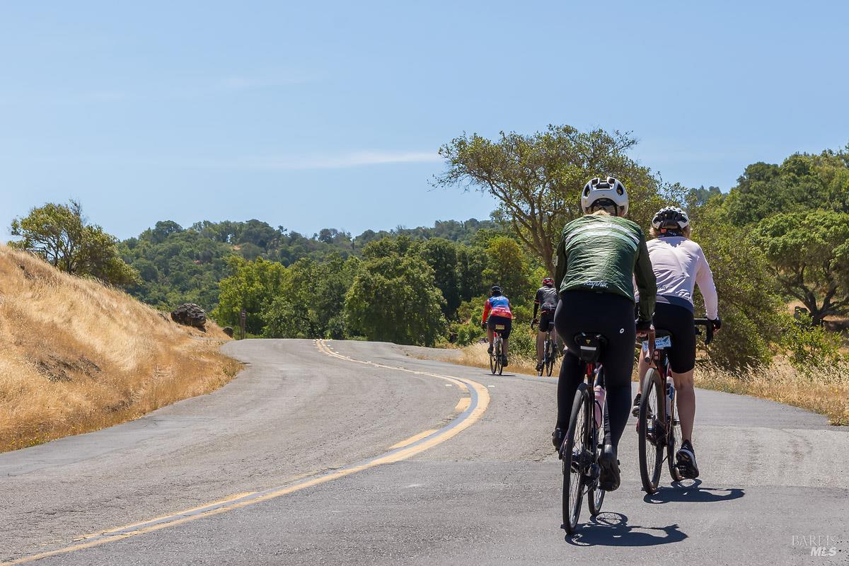 Detail Gallery Image 78 of 84 For 1100 Bayhills Dr, San Rafael,  CA 94903 - 5 Beds | 5/1 Baths